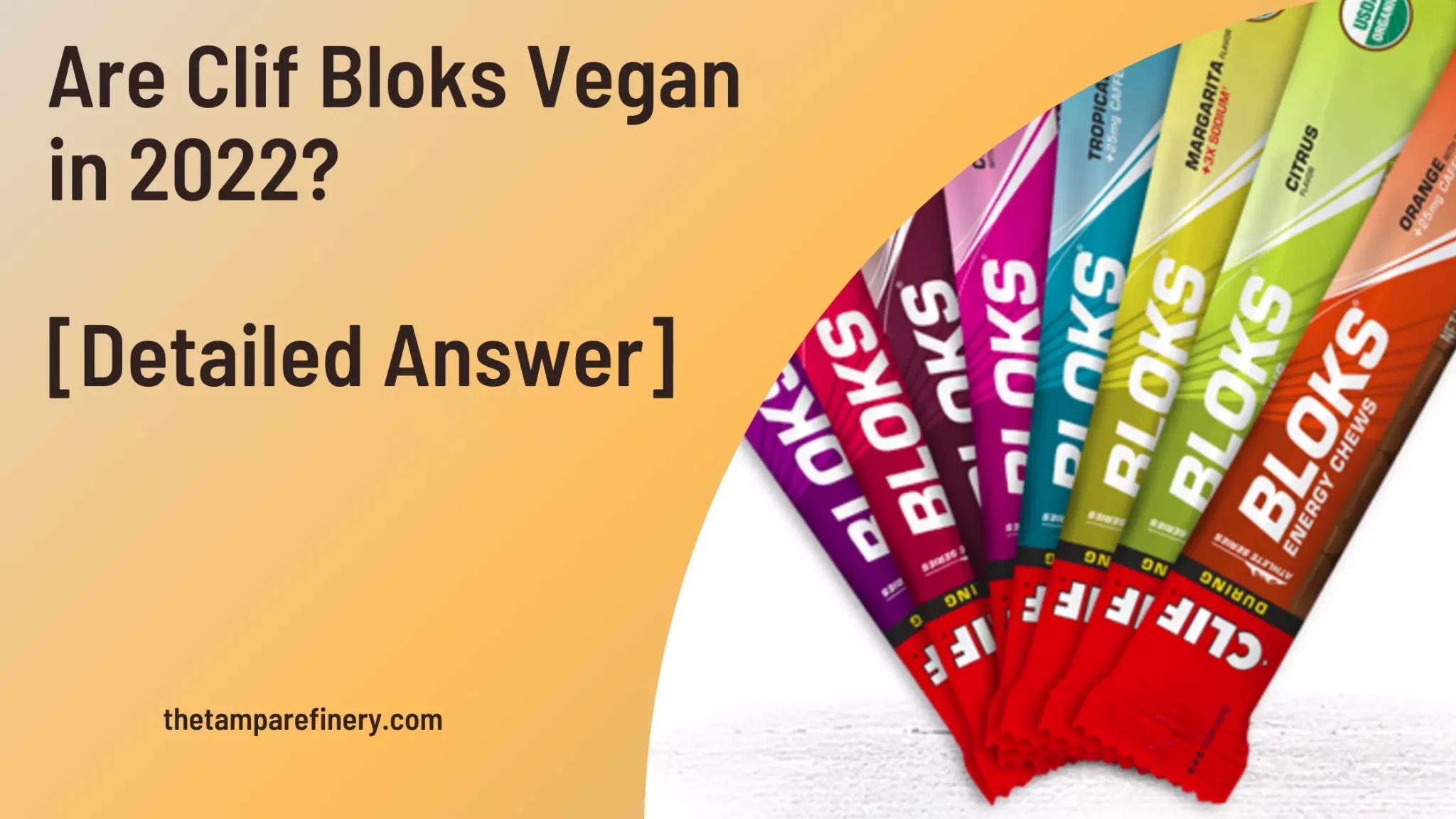 Are Clif Bloks Vegan