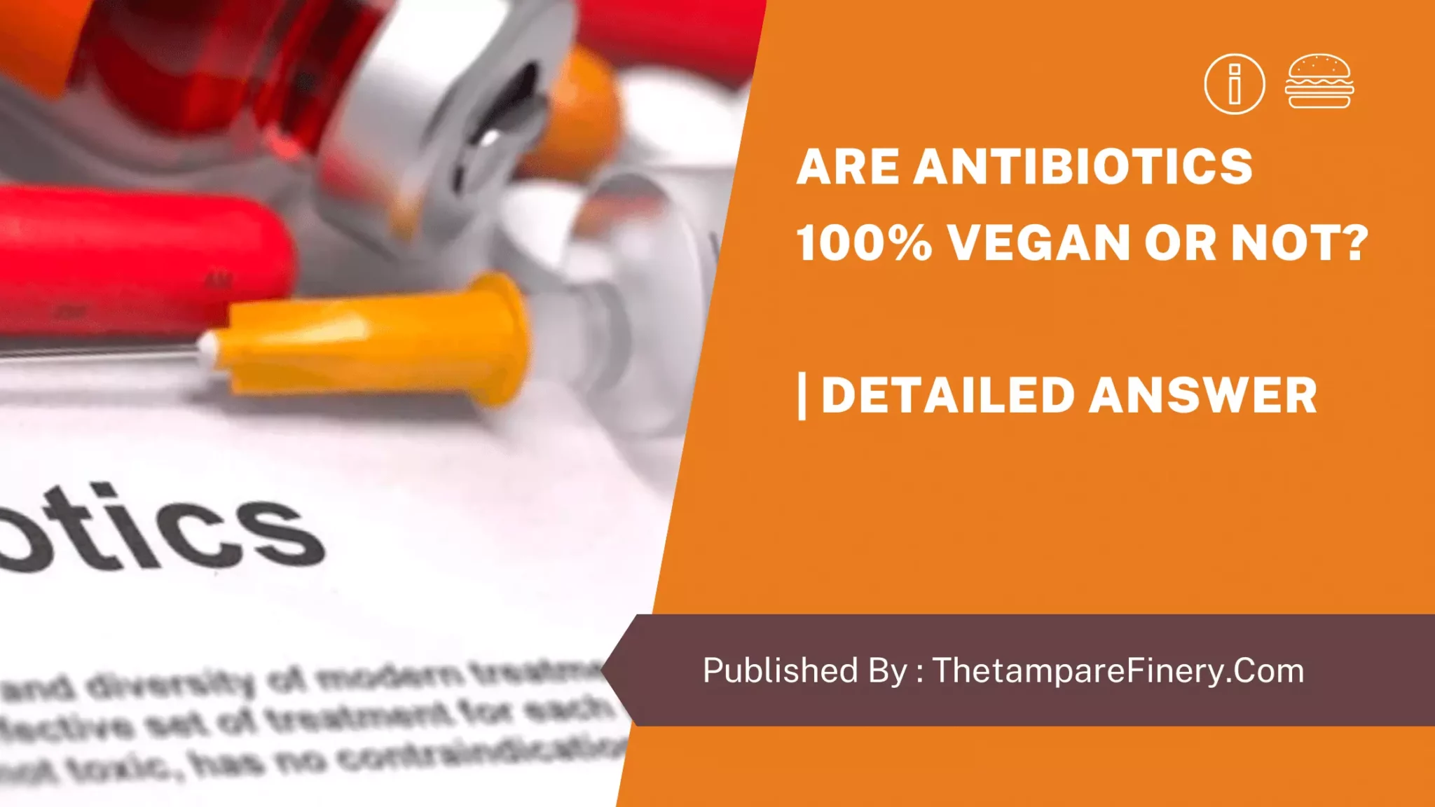 Are Antibiotics Vegan Or Not