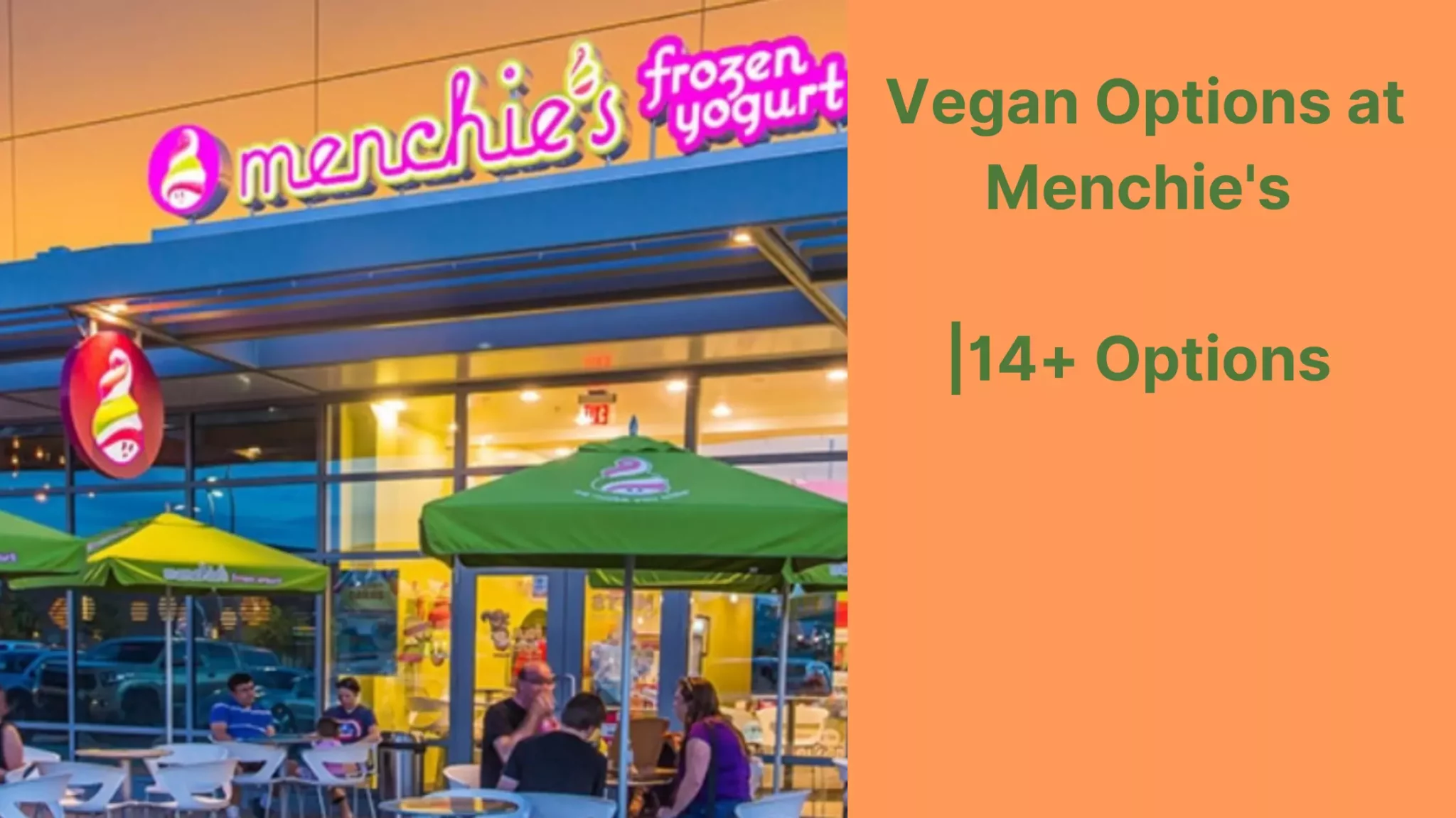 Vegan Options at Menchie's