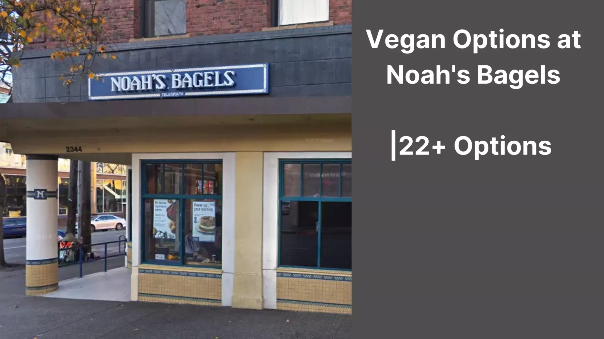 Vegan Options at Noah's Bagels