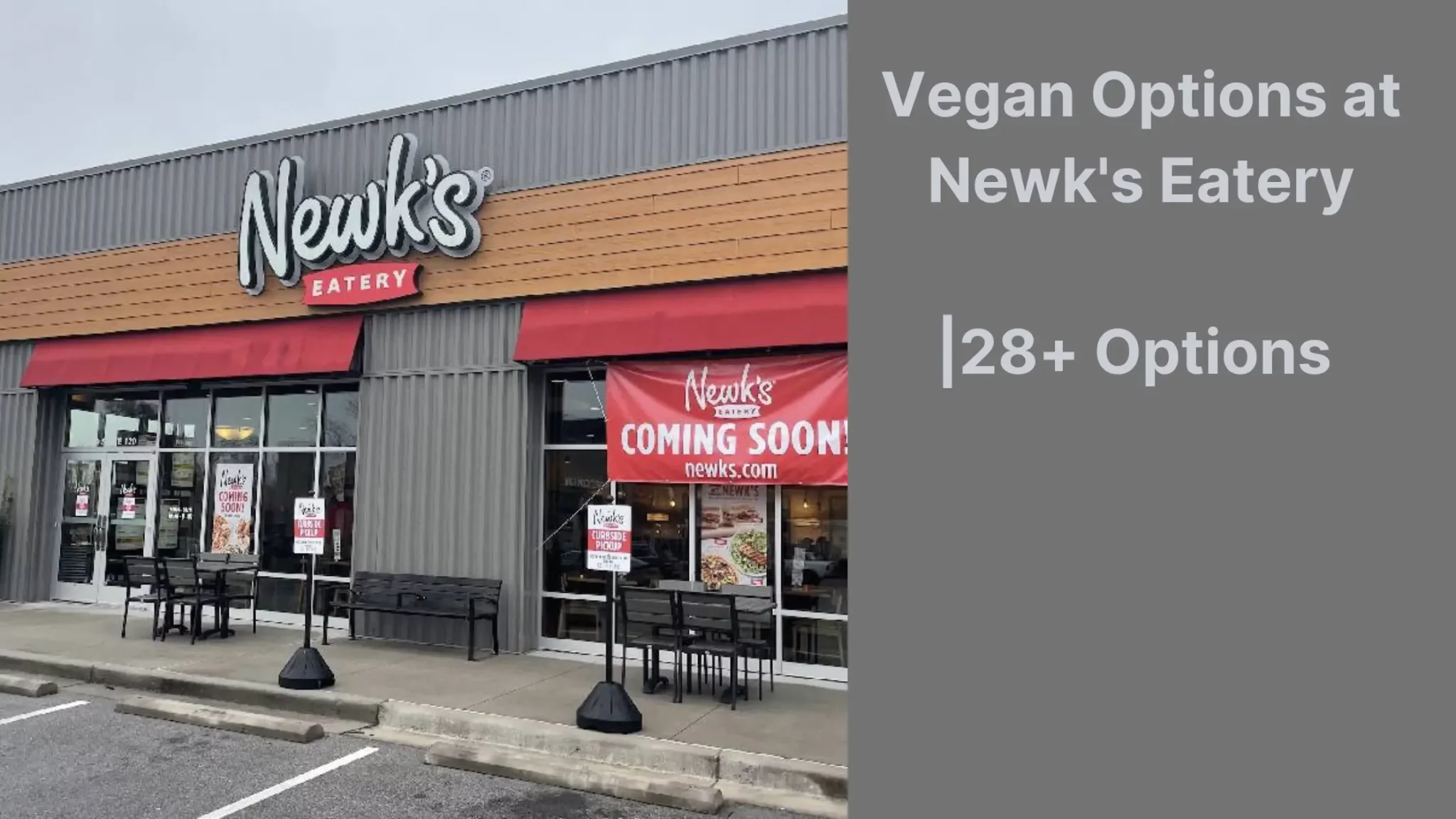 Vegan Options at Newk's Eatery