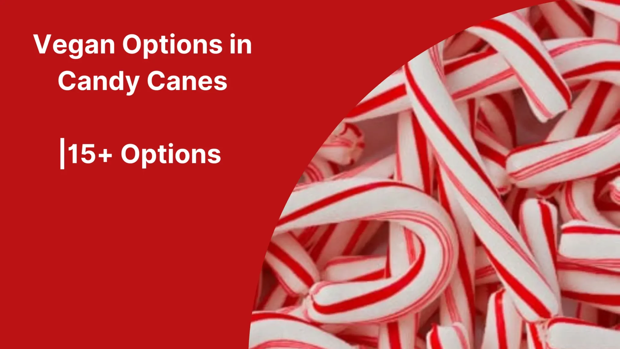 Vegan Options in Candy Canes