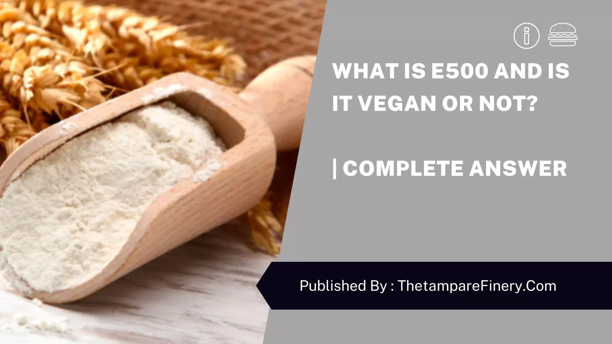 What is E500 and Is it Vegan Or Not