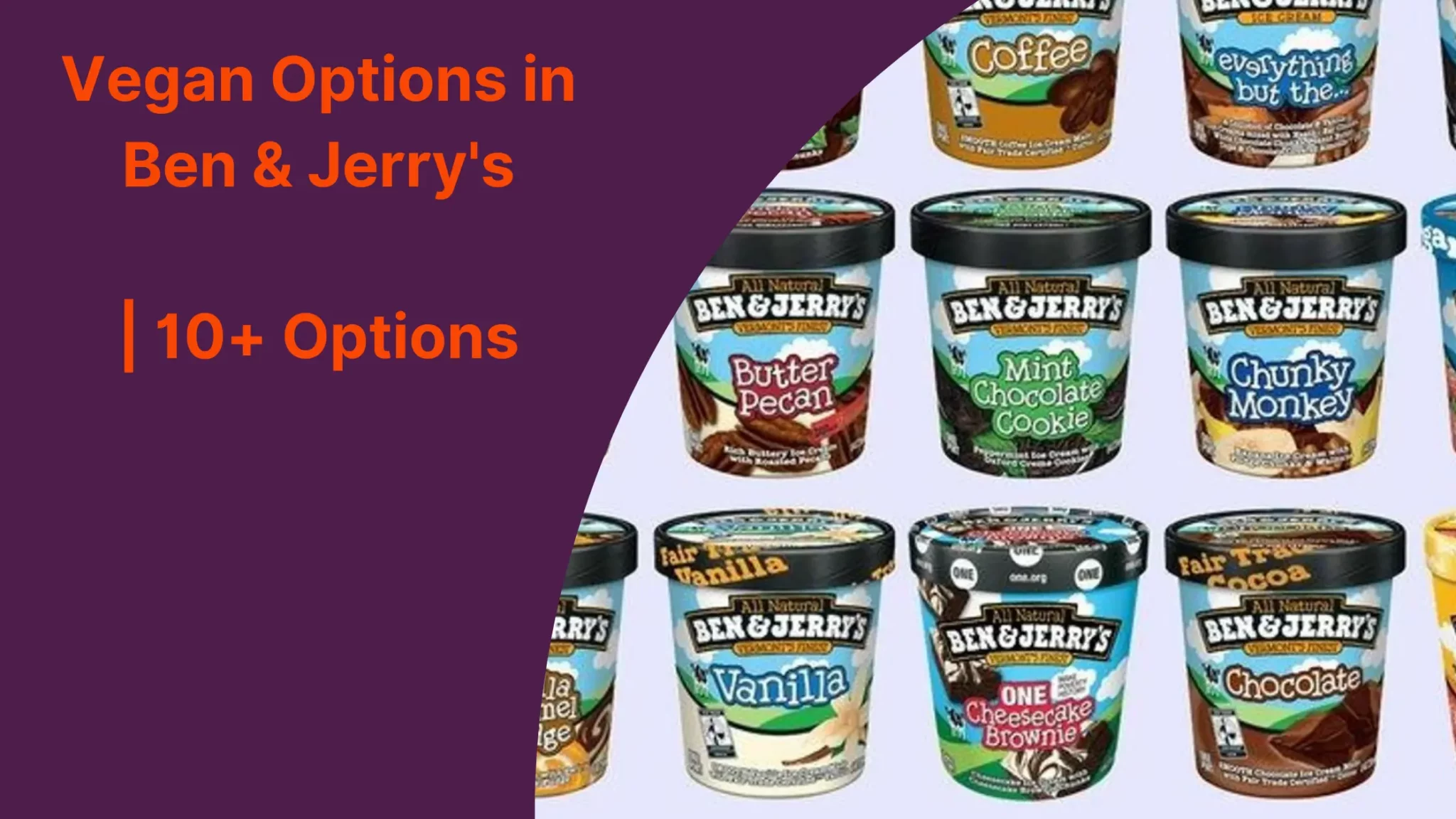 Vegan Options in Ben & Jerry's