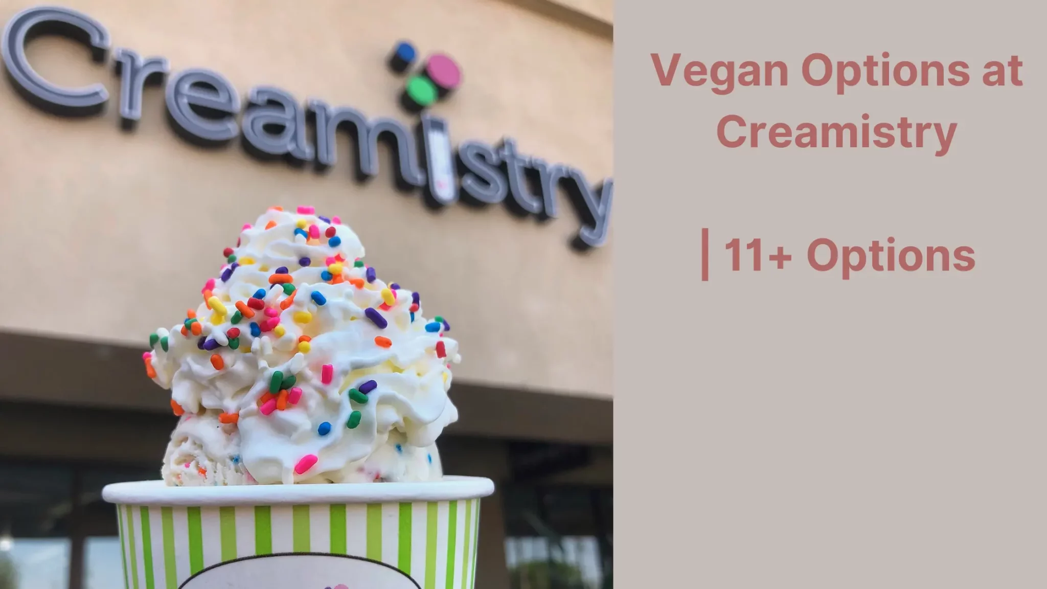 Vegan Options at Creamistry