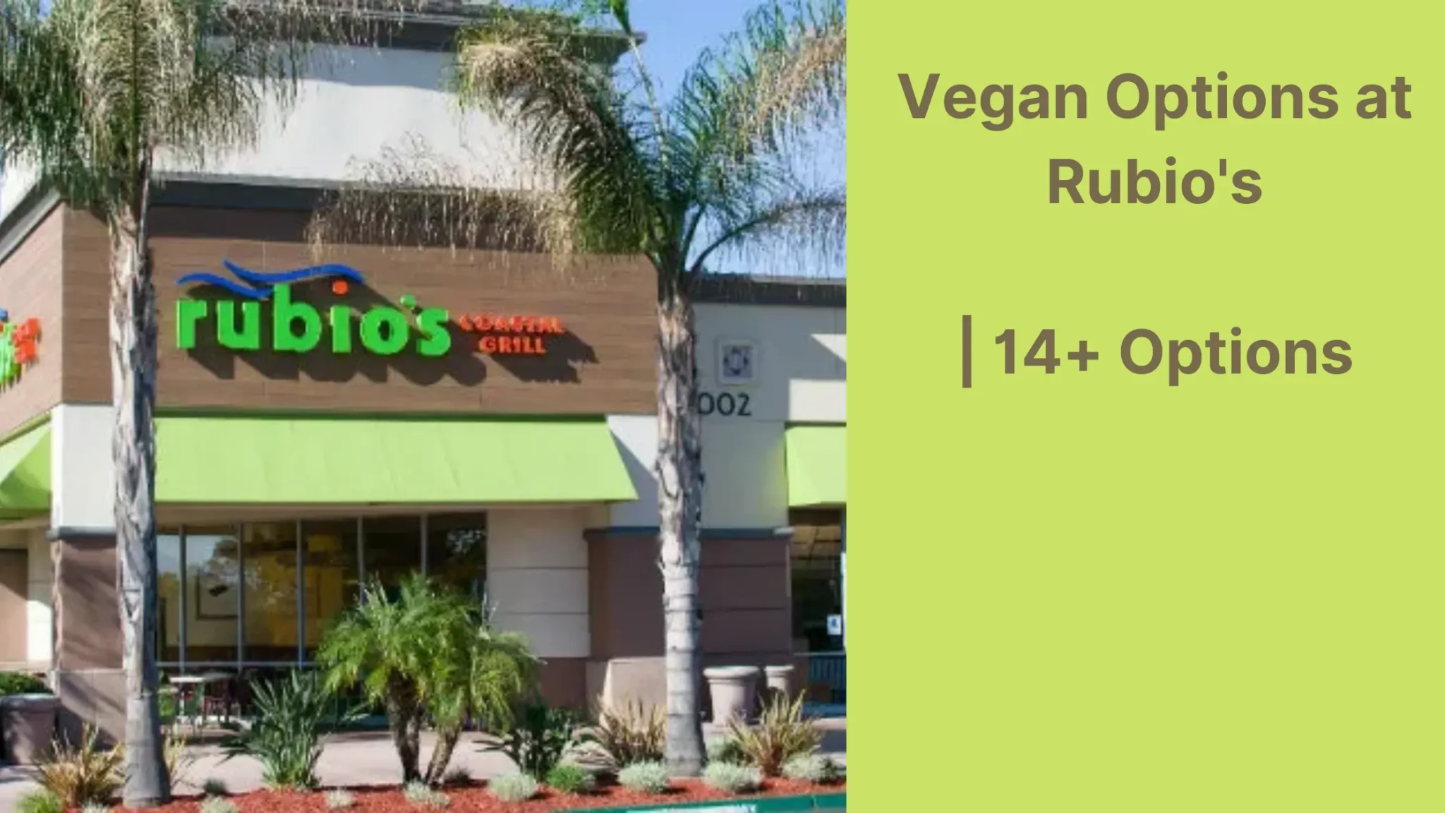 Vegan Options at Rubio’s