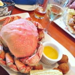 Flaherty’s Seafood Grill & Oyster Bar