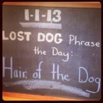 Lost Dog Cafe