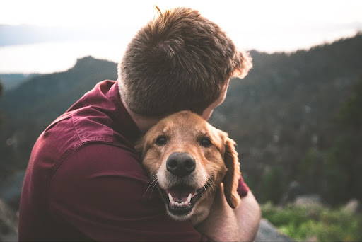 dog and its owner