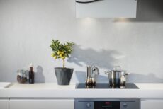 kitchen countertop plant